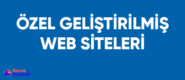 Özel Web Geliştirme Çözümleri