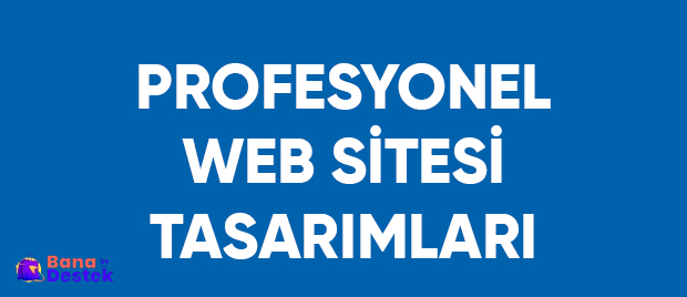Profesyonel Web Tasarımları