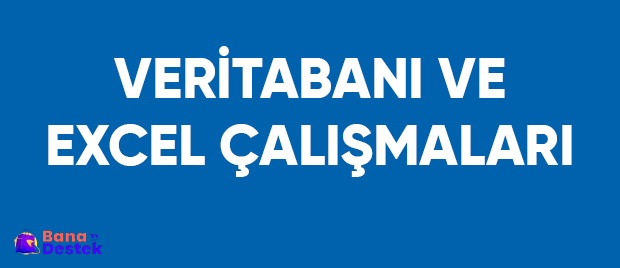 Veritabanı Optimizasyonu, Veri Girişleri ve Excel İşlemleri